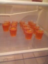 Homemade Jell-O Shots! :& x29;