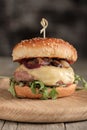 Homemade juicy burger with beef, cheese and caramelized onions. Royalty Free Stock Photo