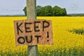 Homemade Keep Out Signs Posted at Edge of Canola Field to Warn Trespassers to Stay Out