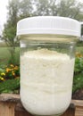 Making Homemade kefir