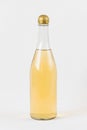 Homemade kombucha fermented drink in bottle on white background. Heathy probiotic beverage