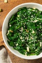 Homemade Korean Spinach Sigeumnchi Namul Royalty Free Stock Photo