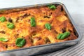 Homemade lasagne bolognese Royalty Free Stock Photo