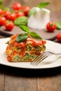 Homemade Lasegne with Ricotta Cheese and Spinach Royalty Free Stock Photo