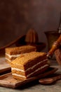 Homemade layered honey cake with cream