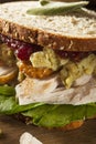 Homemade Leftover Thanksgiving Dinner Turkey Sandwich Royalty Free Stock Photo