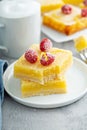 Homemade lemon bars topped with powdered sugar and raspberries