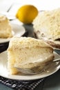 Homemade Lemon Cake with Cream Frosting Royalty Free Stock Photo