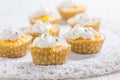 Homemade lemon curd cupcakes with whipped cream Royalty Free Stock Photo