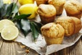 Homemade lemon muffins Royalty Free Stock Photo
