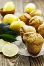 Homemade lemon muffins Royalty Free Stock Photo