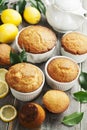 Homemade lemon muffins Royalty Free Stock Photo