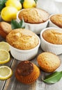 Homemade lemon muffins Royalty Free Stock Photo