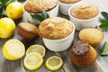 Homemade lemon muffins Royalty Free Stock Photo