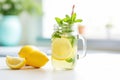 homemade lemonade in a glass jar with sliced lemons and mint Royalty Free Stock Photo