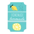 Homemade lemonade lable vector illustration