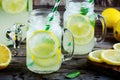 Homemade lemonade with mint, ice, and fresh lemon slices in mason jar Royalty Free Stock Photo