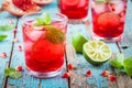 Homemade lemonade with pomegranate, mint and lime