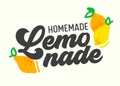 Homemade Lemonade Poster with Creative Drawing Elements, Menu Banner with Citrus Fruits, Drink Advertising Flyer