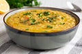 Homemade Lentil Soup with Parsley in a Bowl on a white wooden background, side view. Close-up Royalty Free Stock Photo