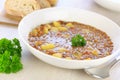 homemade Lentil Soup Royalty Free Stock Photo