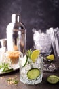 Homemade lime lemonade with cucumber, rosemary and ice on a dark concrete background and served with brown sugar and Royalty Free Stock Photo