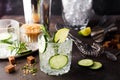 Homemade lime lemonade with cucumber, rosemary and ice Royalty Free Stock Photo