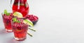 Homemade lingonberry and lime punch or limeade in glass and pitcher on gray background, horizontal, copy space Royalty Free Stock Photo