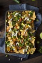 Homemade Loaded Sheet Pan Nachos Royalty Free Stock Photo