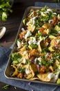 Homemade Loaded Sheet Pan Nachos Royalty Free Stock Photo