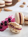 Homemade macaroons with currant filling on a gray plate. Almonds, berries of black currant and filling for cookies on a plate.