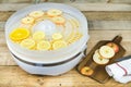 Homemade machine to dehydrate food with orange and apple slices