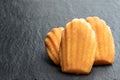 Homemade madeleines french sponge cake on black stone background