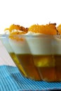 Homemade mandarin orange trifle decorated with mandarin segments and grated chocolate Royalty Free Stock Photo