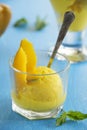 Homemade mango ice cream Royalty Free Stock Photo
