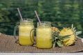 Homemade mango and pineapple smoothie made with coconut milk in two glass mug near swimming pool . Island Bali, Indonesia. Royalty Free Stock Photo