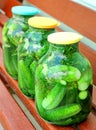 Homemade marinated cucumbers in a glass jar