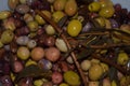 Homemade marinated olives