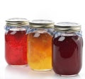 Homemade Marmalade And Jam Royalty Free Stock Photo