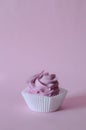 Homemade marshmallow berry zephyr on pink background