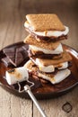 Homemade marshmallow s`mores with chocolate on crackers