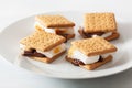 Homemade marshmallow s`mores with chocolate on crackers Royalty Free Stock Photo