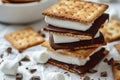 Homemade marshmallow s\'mores with chocolate on crackers