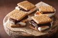 Homemade marshmallow s`mores with chocolate on crackers Royalty Free Stock Photo