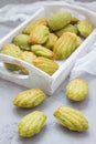 Homemade matcha green tea madeleines on the table and in wooden tray Royalty Free Stock Photo