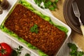 Homemade meat pie with vegetables, served with cranberry sauce Royalty Free Stock Photo