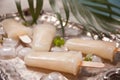 Homemade melon popsicles with ice against a vintage metal tray background