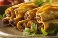 Homemade Mexican Beef Taquitos Royalty Free Stock Photo