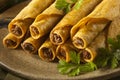 Homemade Mexican Beef Taquitos Royalty Free Stock Photo