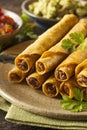 Homemade Mexican Beef Taquitos Royalty Free Stock Photo